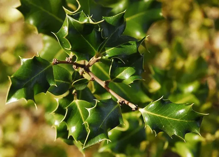 Sierra De Landhuis *